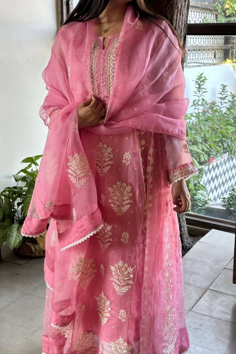 Candy Pink | Noor Organza Chikankari Anarkali