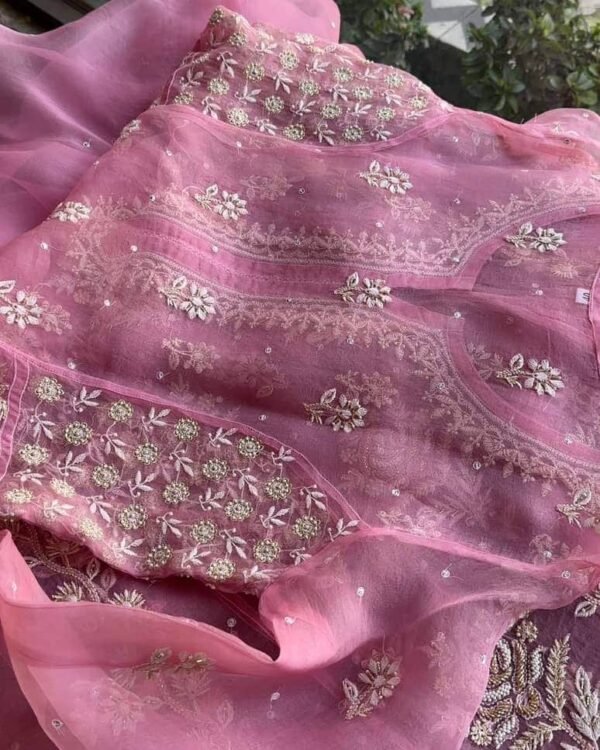 Candy Pink | Noor Organza Chikankari Anarkali - Image 5