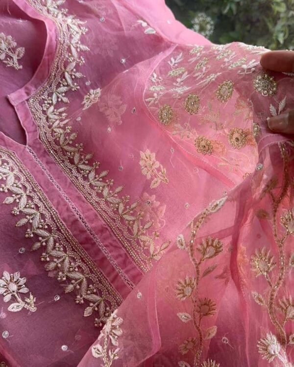 Candy Pink | Noor Organza Chikankari Anarkali - Image 4